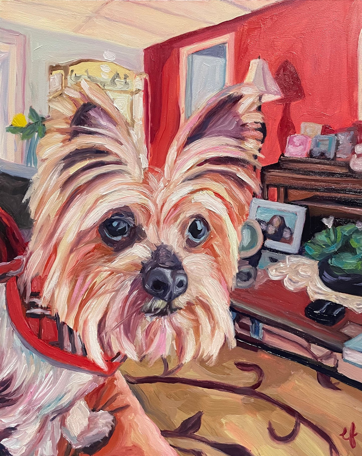 Maisy
