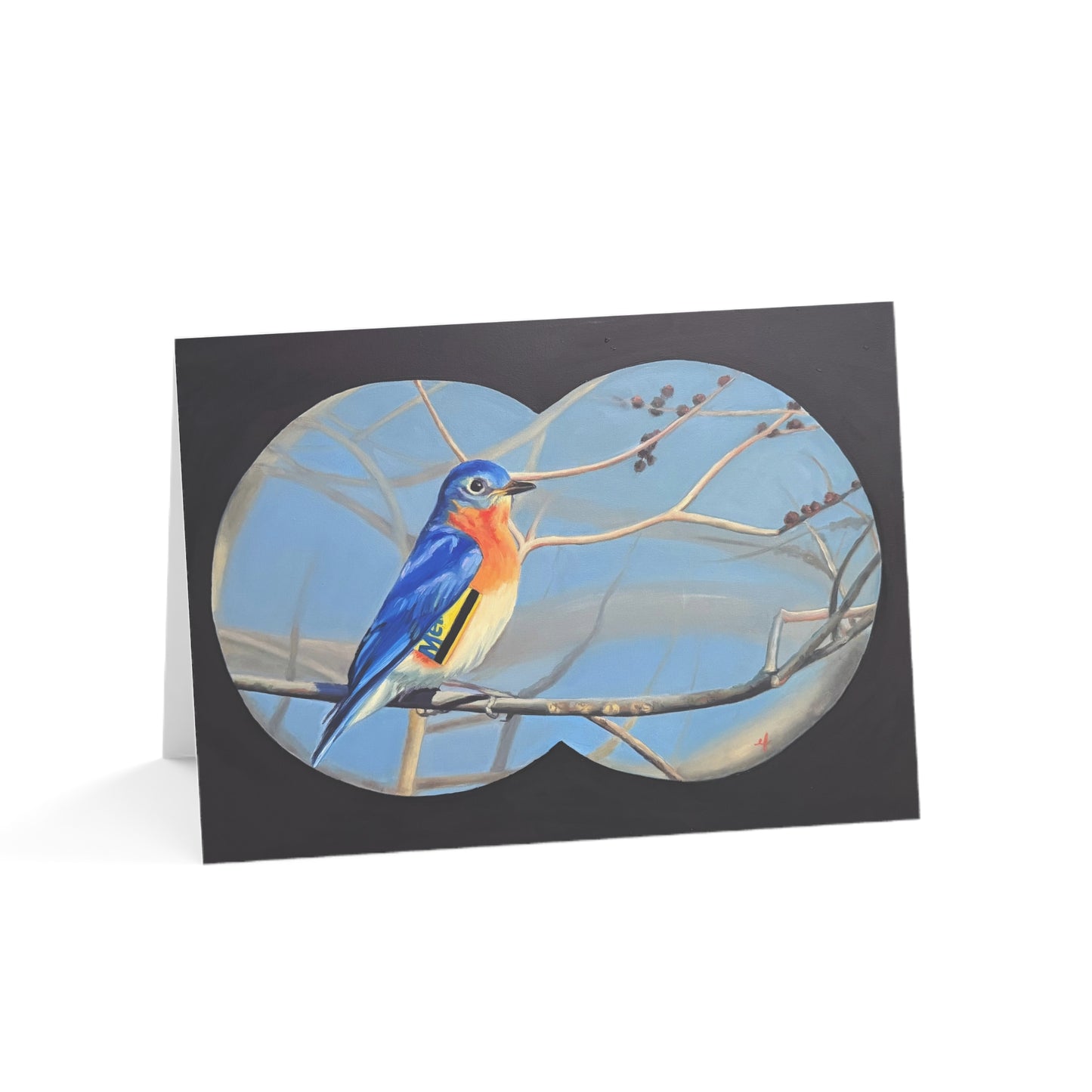 Eastern Blue Bird of New York Greeting Cards