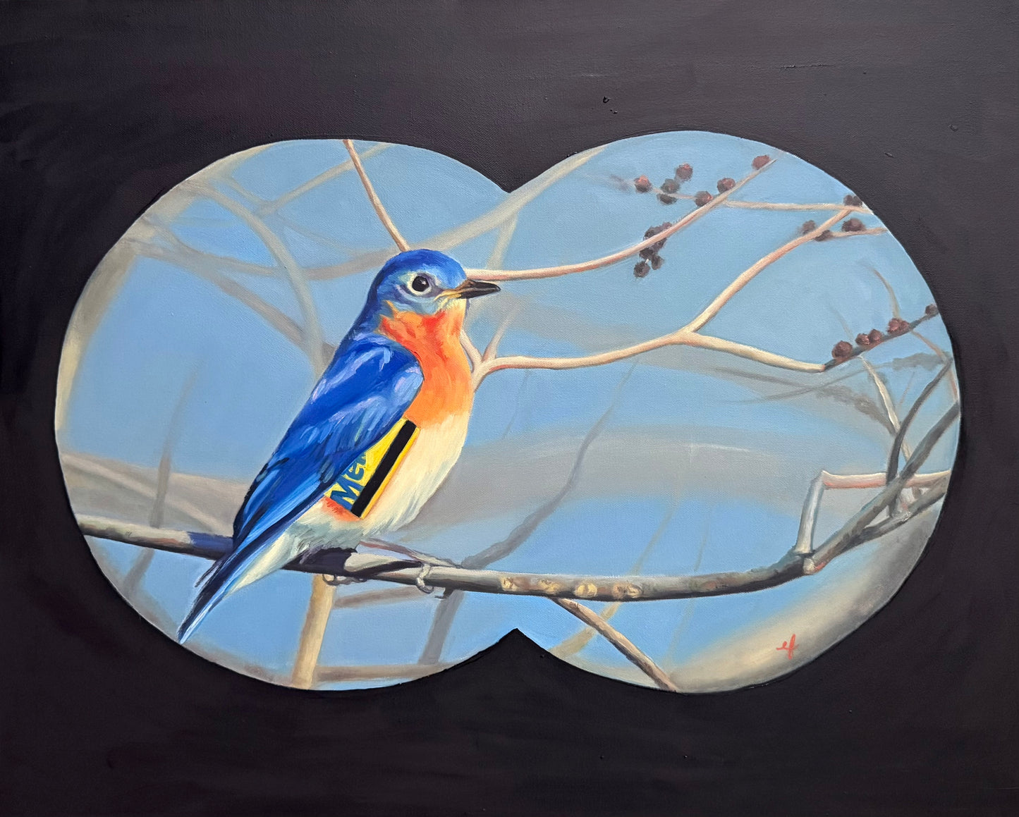 Eastern Bluebird of New York