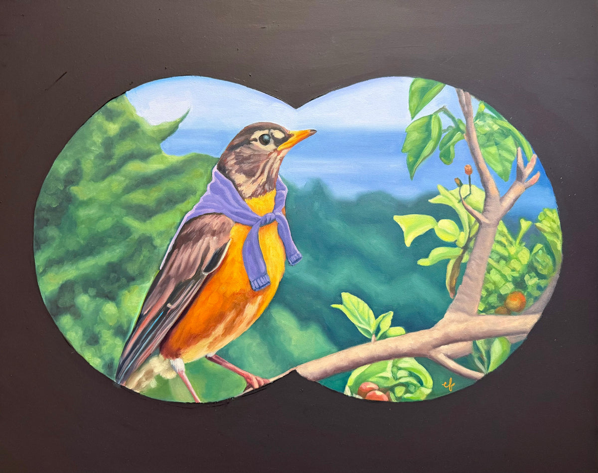 American Robin of Connecticut